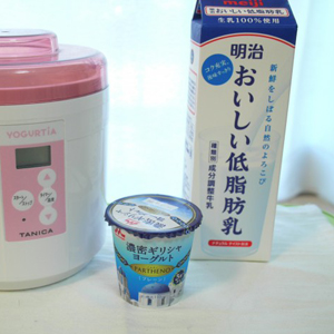 ヨークシャーテリア リャドロ 磁器 ヨークシャーテリア リャドロ 磁器
